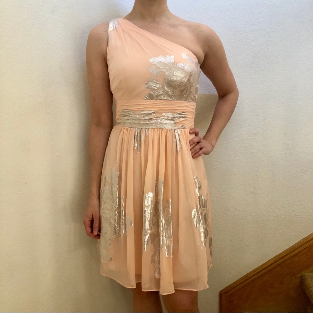 Peach/Silver NWOT Eliza J Cocktail Dress